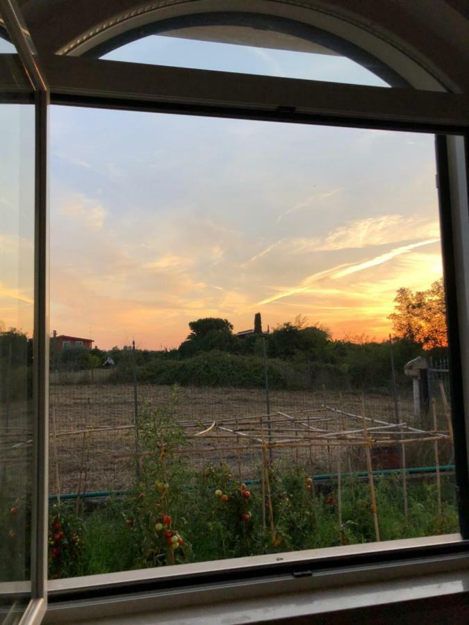Agriturismo "Lo Zafferano" 아프릴리아 외부 사진